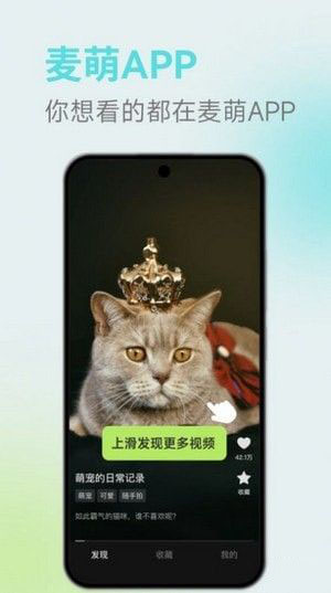 麦萌短剧app官方下载