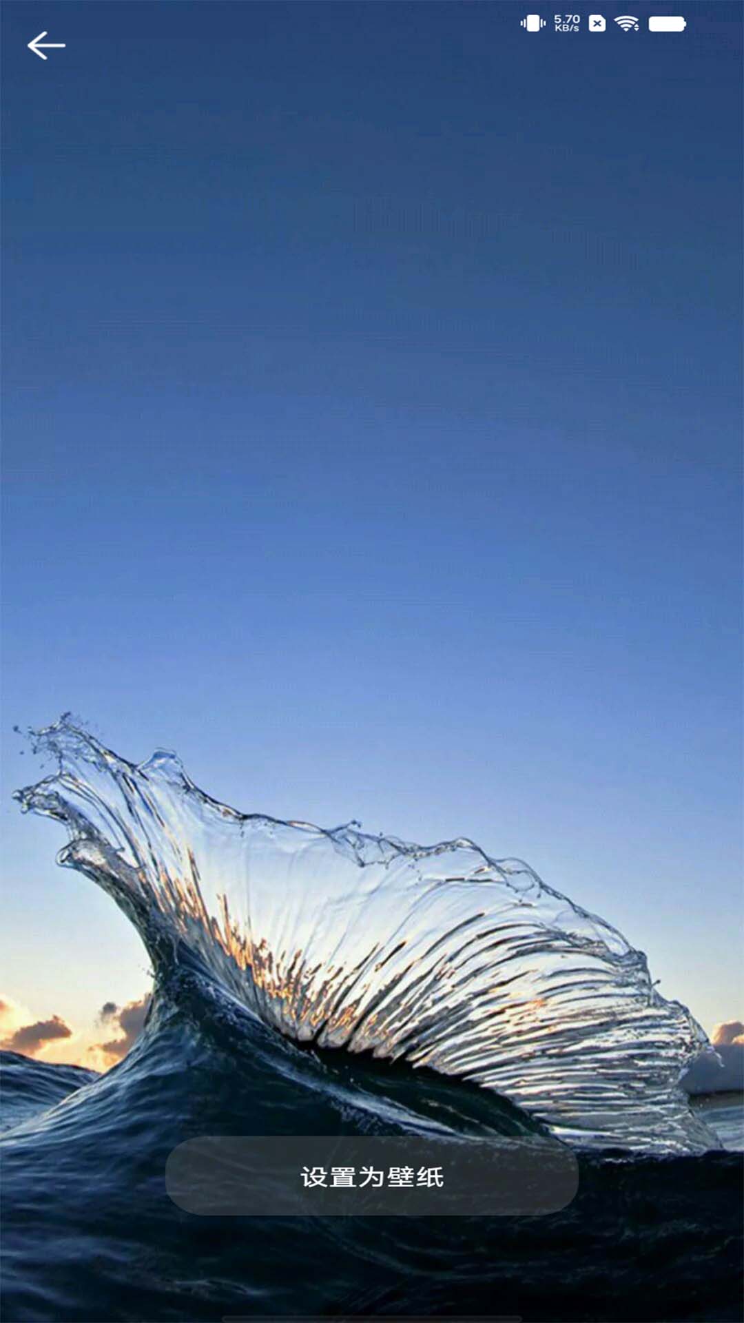 视频动态壁纸秀软件
