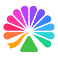 大麦网app
