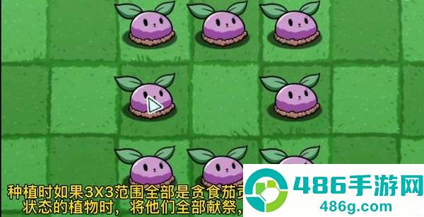 植物大战僵尸2最新版下载