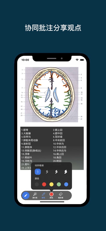 专家宝app
