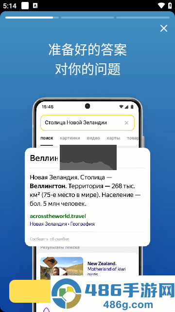俄罗斯引擎浏览器app安卓版下载