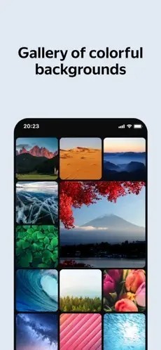 俄罗斯引擎浏览器app安卓版下载